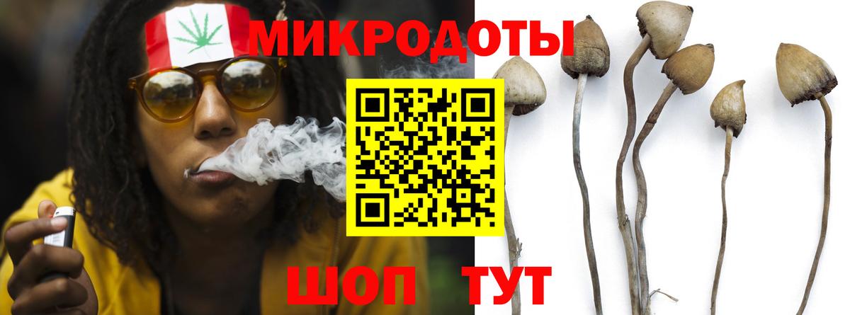 Гагарин  где можно купить   Псилоцибиновые грибы Psilocybe  Вход с VPN  Галлюциногенные грибы мухоморы 